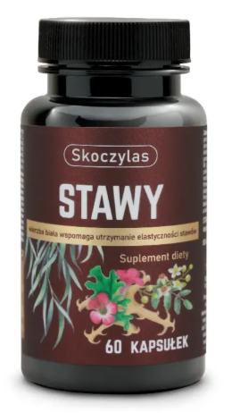 Stawy – Boswellia, hakorośl, wierzba i ashwagandha 60 kapsułek SKOCZYLAS